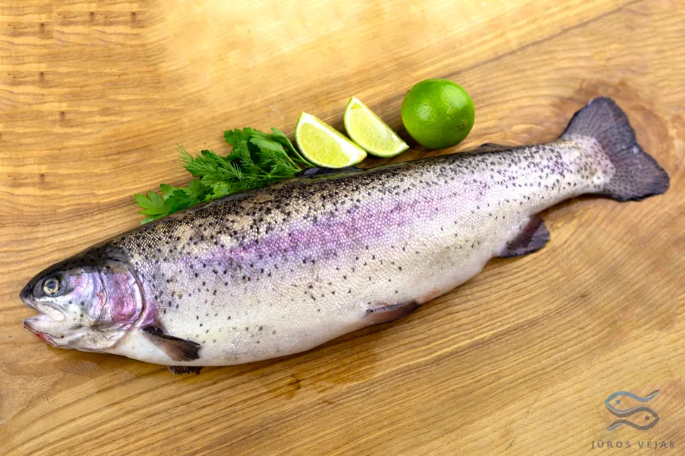 Vaivorykštinis upėtakis (Oncorhynchus mykiss) — Vietinė žuvis