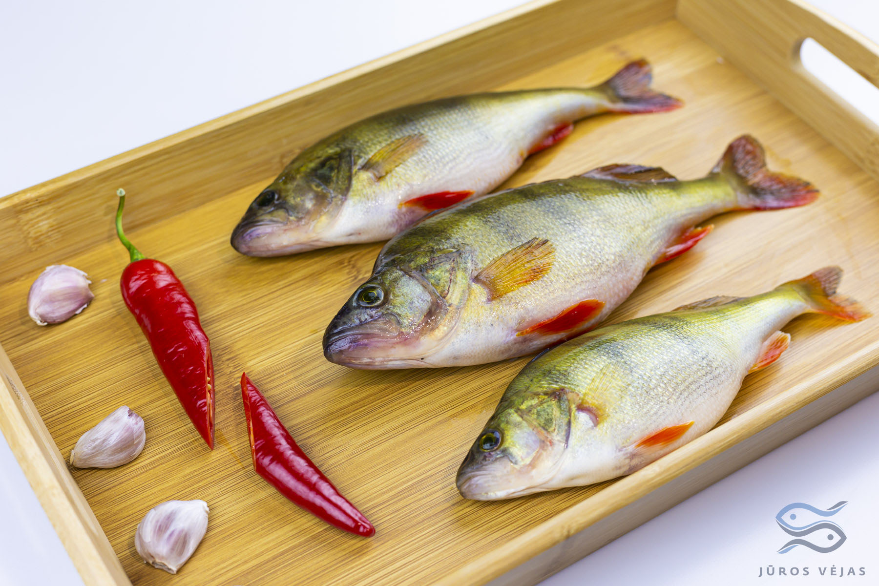 European Perch