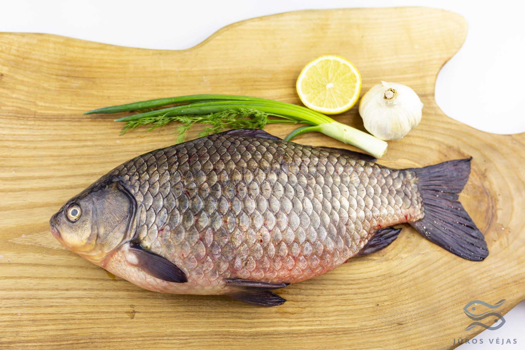 Crucian Carp