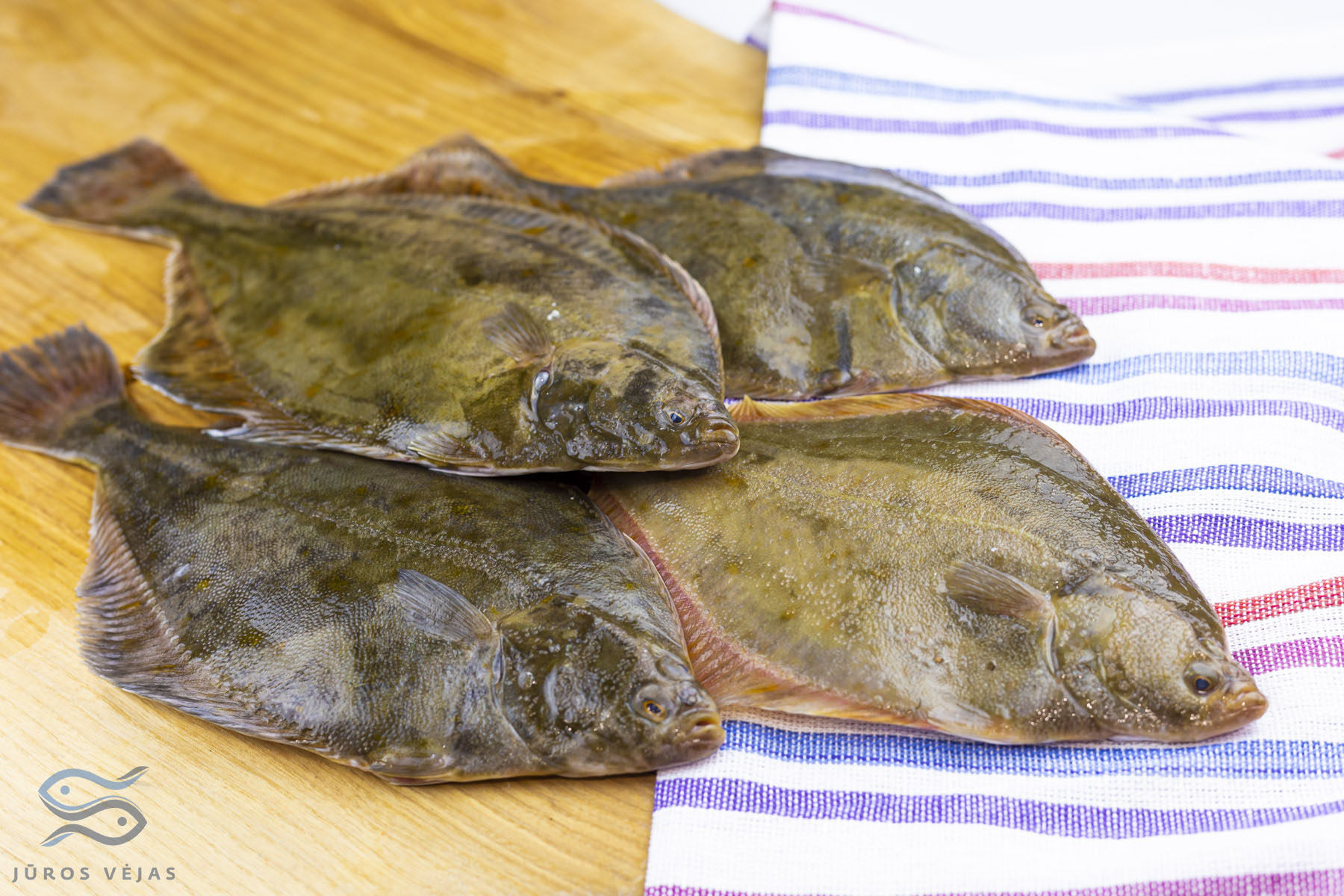 European Plaice