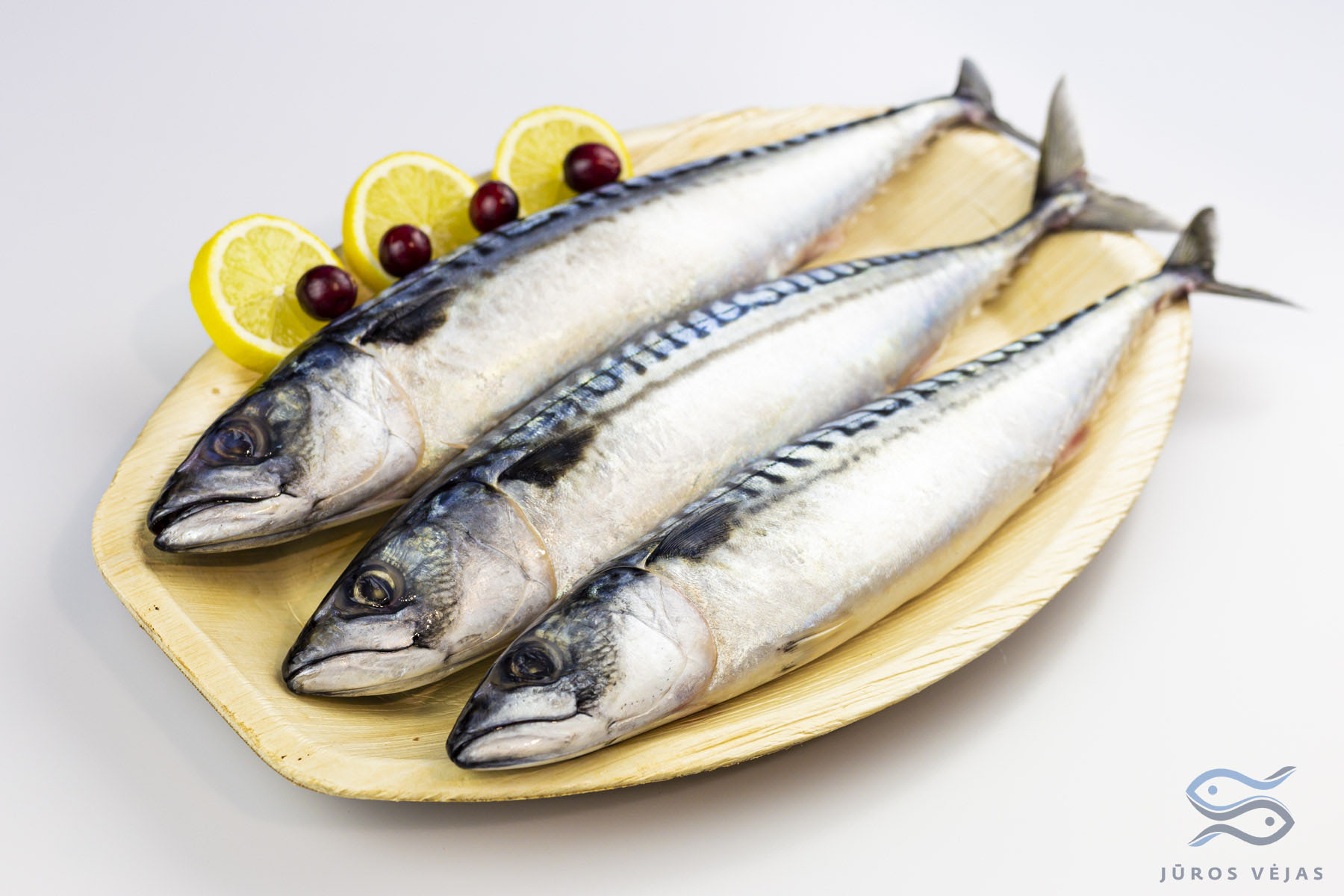 Atlantic Mackerel