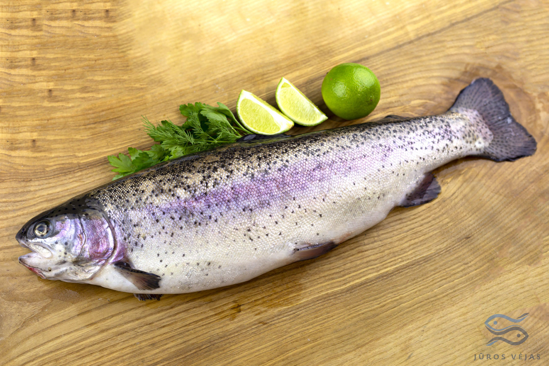 Rainbow Trout