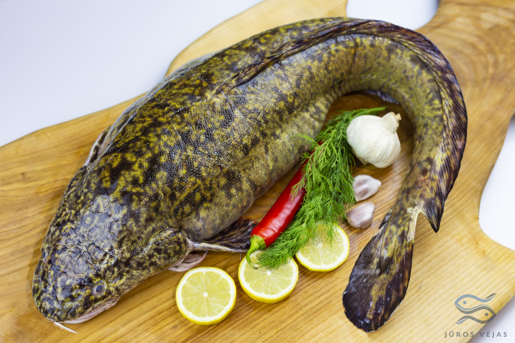 Burbot