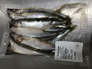 Europinės stintos